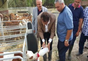 Aydemir: ‘İşte, Ekonomide AK Parti farkı’
